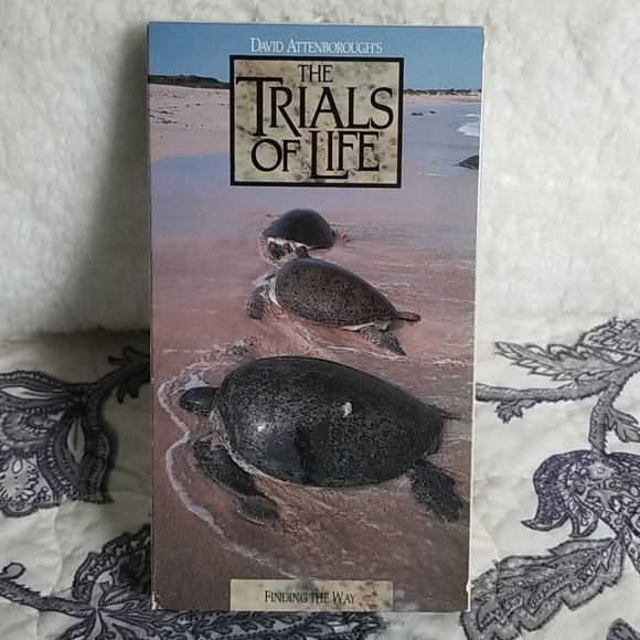 Vintage 1991 David Attenborough's "The Trials of Life" Time Life 12 VHS Box Set - Picture 3 of 15